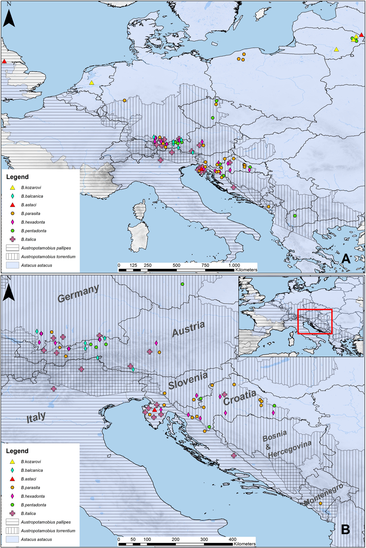 Fig. 1 Refer to the following caption and surrounding text.