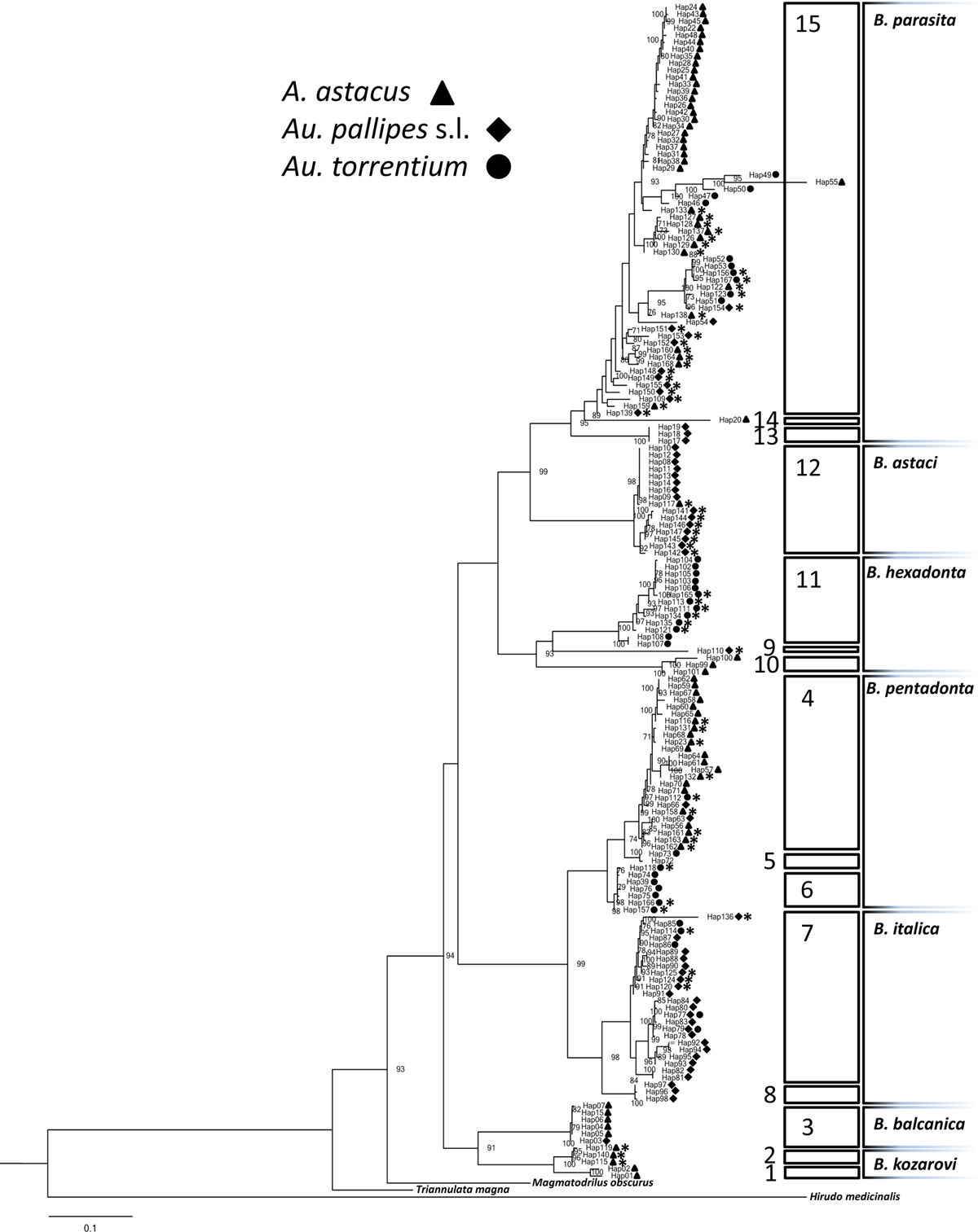 Fig. 2 Refer to the following caption and surrounding text.